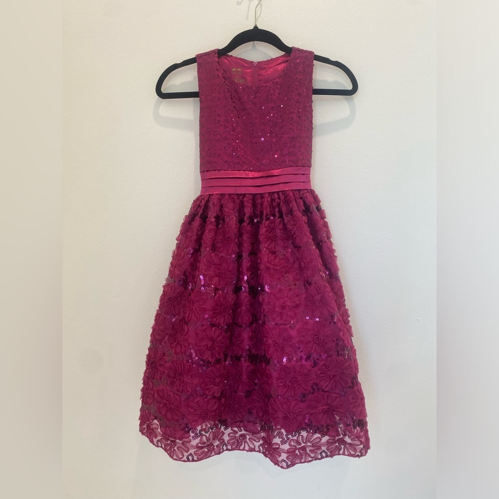 Princess Special Edition Girls Size 12 Dressy Special Occasion Dress